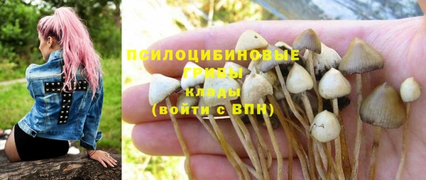 не бодяженный Белокуриха