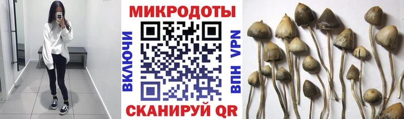 Псилоцибиновые грибы мухоморы  Очёр 